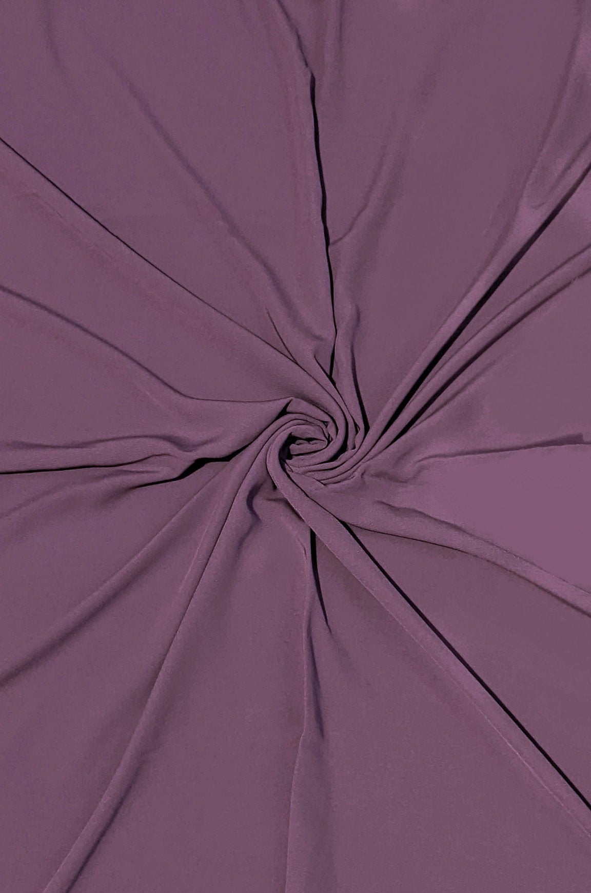 Orchid Haze