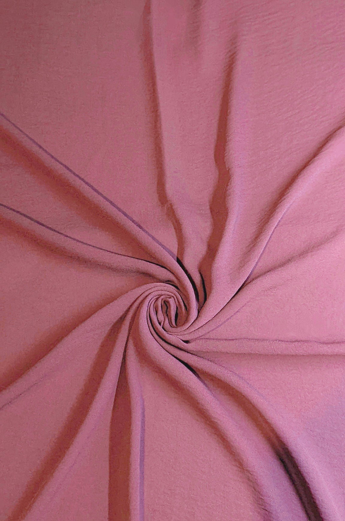Pink Rose